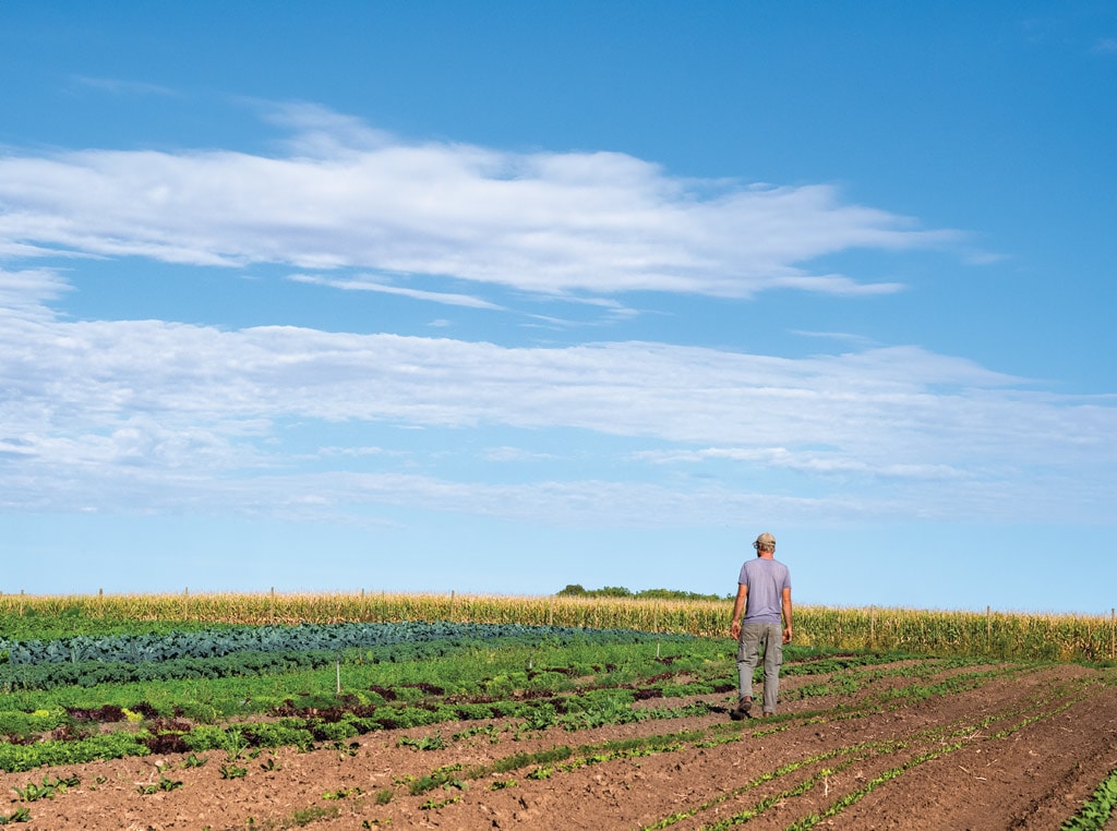 hot pepper farmer in field