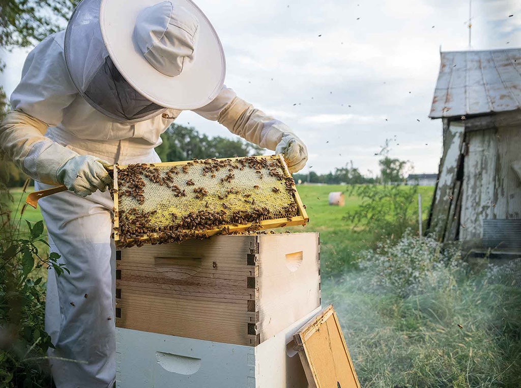 beekeeper in beekeeping suit with honeycomb slab