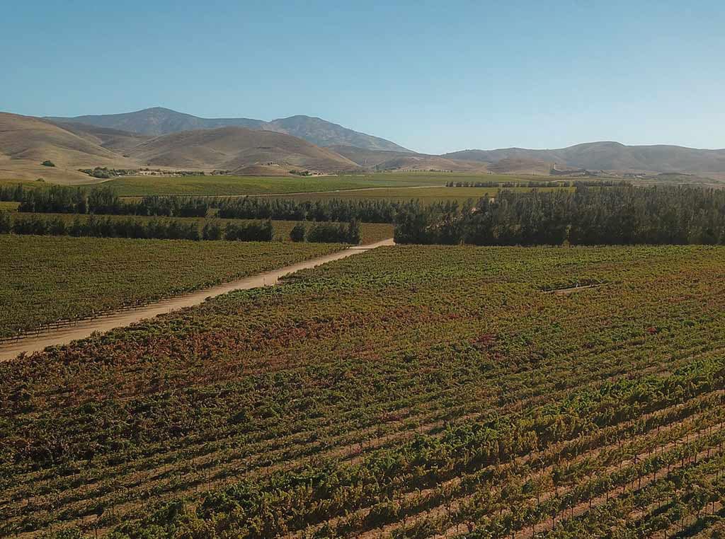 aerial view of Riverview Vineyard