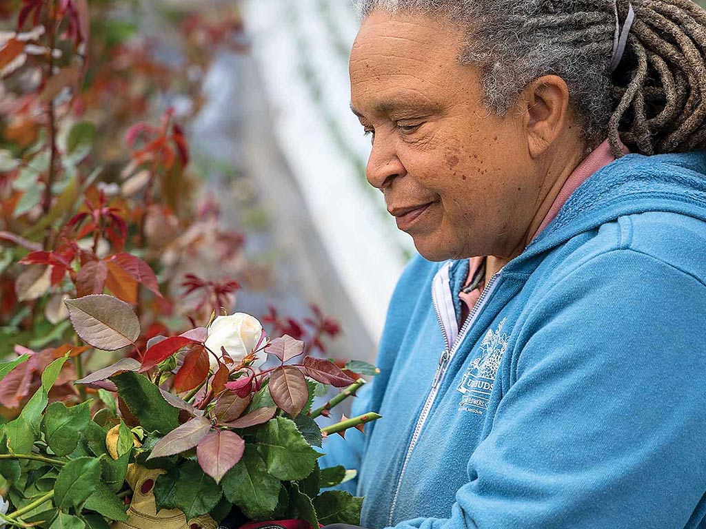 Mimo Davis checking white rose