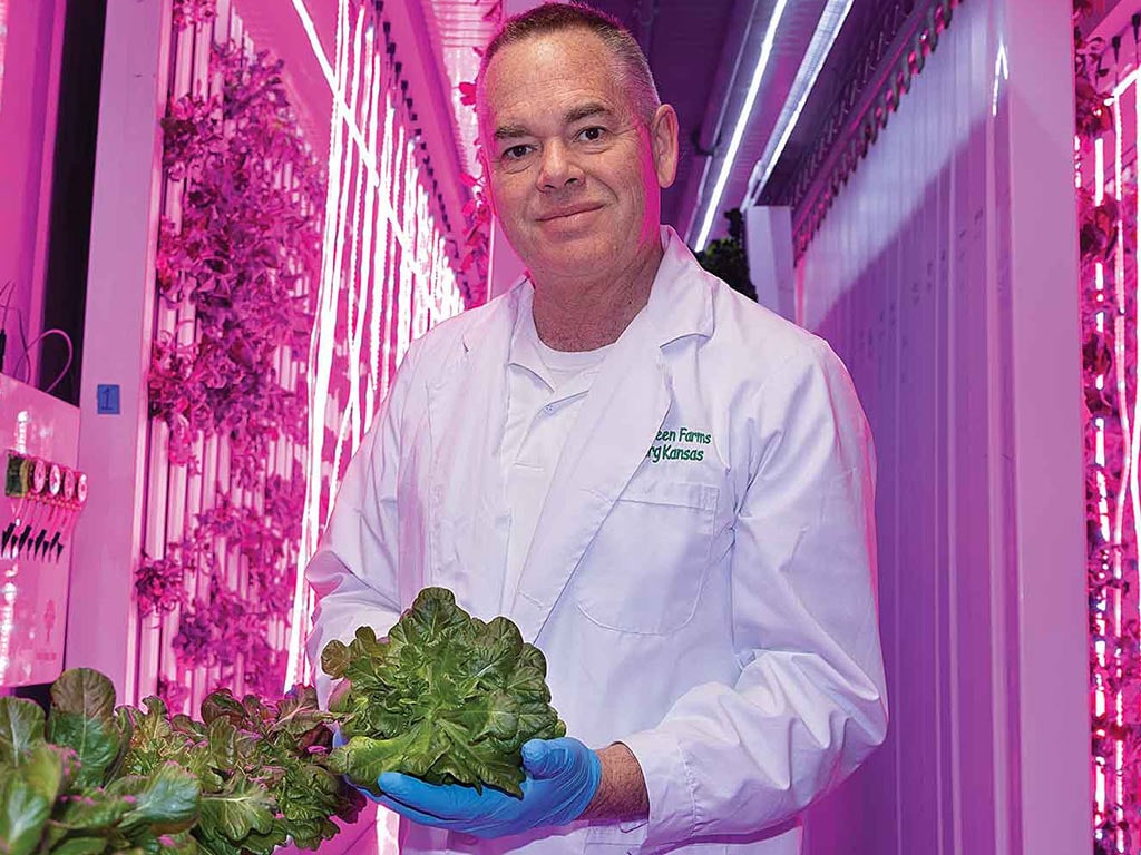 Person wearing a white lab coat and blue, disposable medical gloves holding two plants inside a container farm with glowing rows pink-purple UV lights