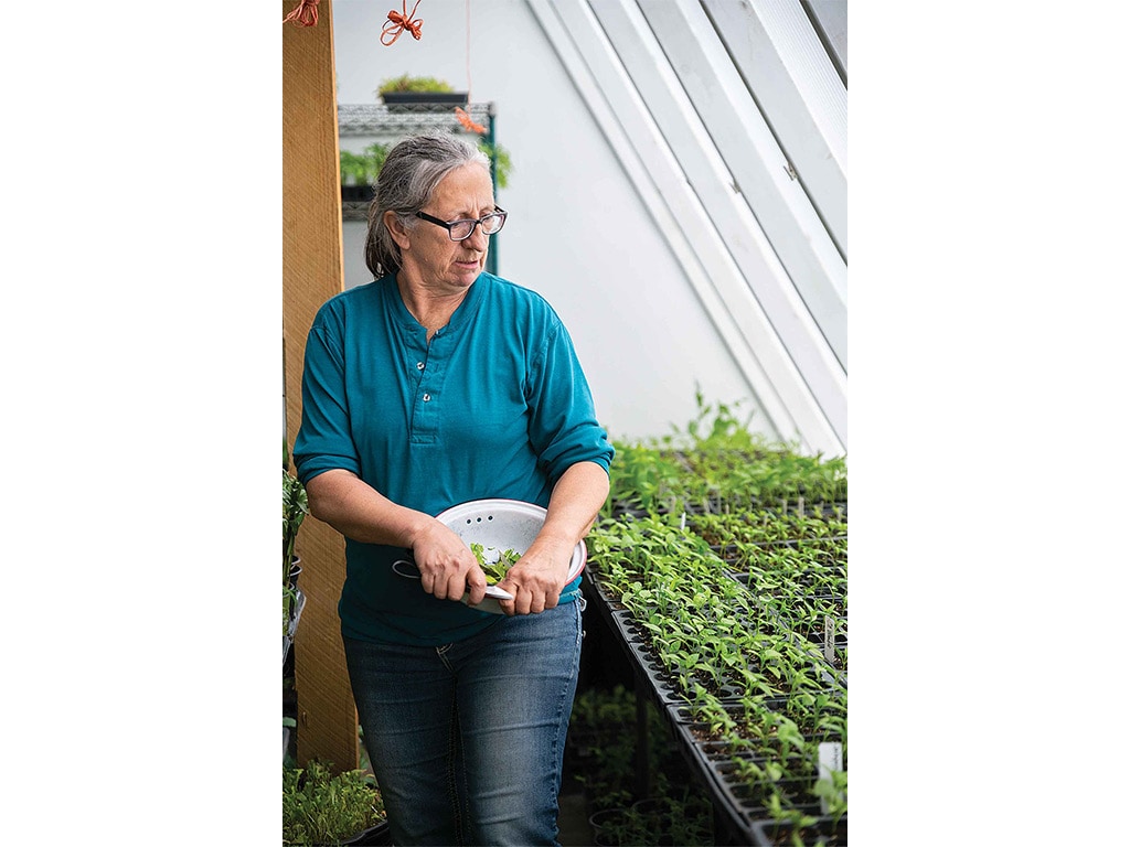 Person wearing a teal Henley with their sleeves rolled up holding a white bowl with greens in it