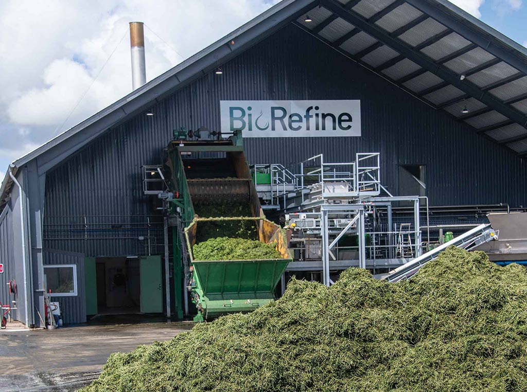 Monticule d'herbe fraîchement coupée devant une usine de transformation de protéines