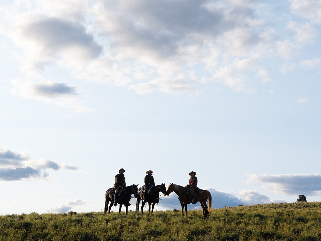 Three people on horseback in a field on a bright day