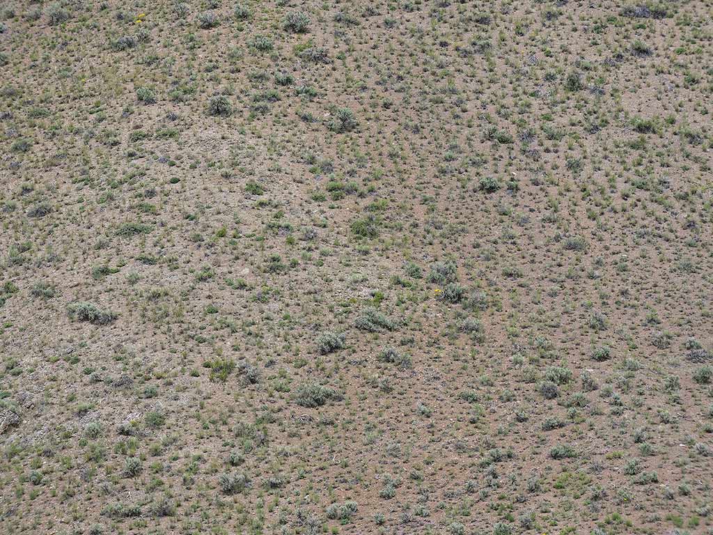 aerial view of sporadic grasses and dirt