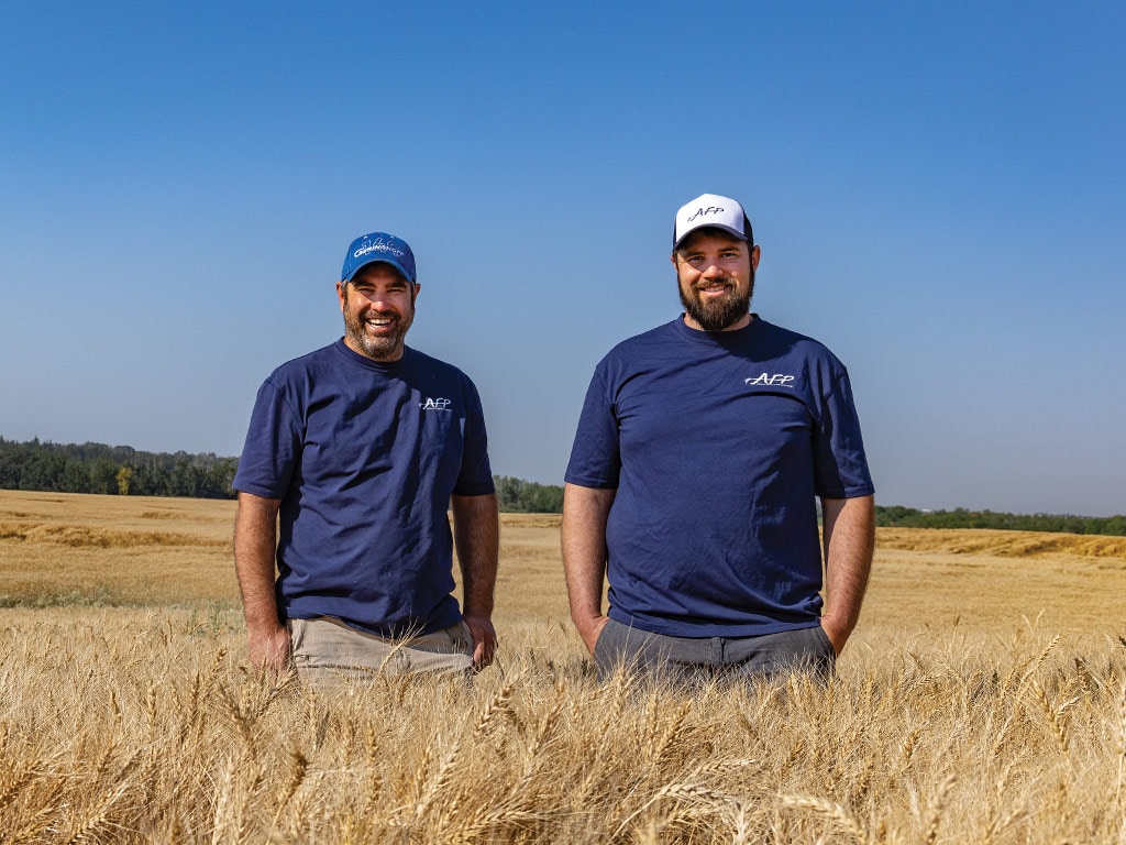 Two people standing side by side in a wheat field on a clear day.