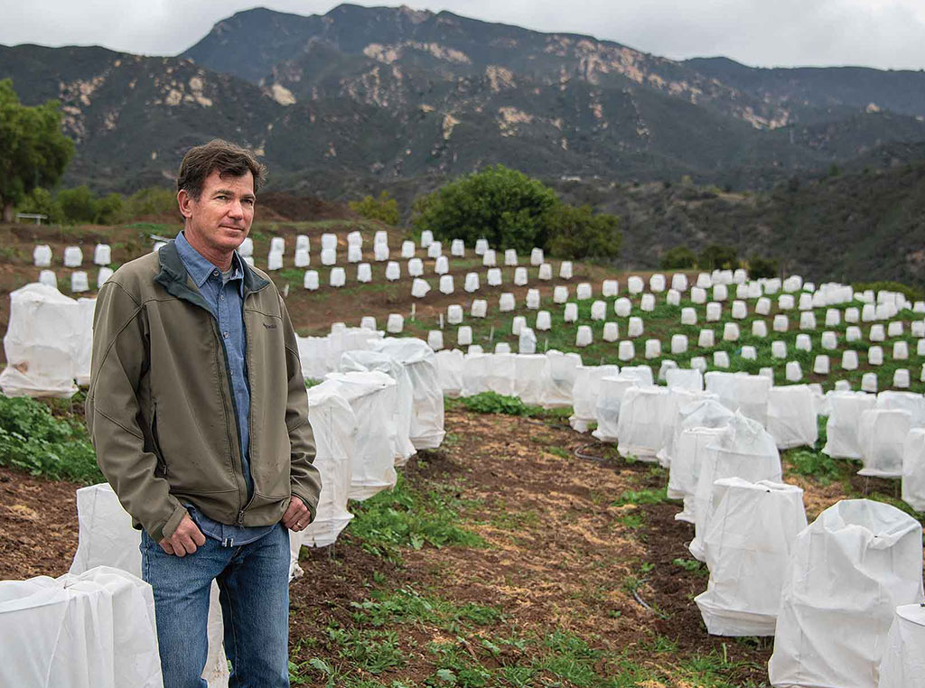 dark haired man standing on hillside surrounded by rows of plants covered with mesh fabric