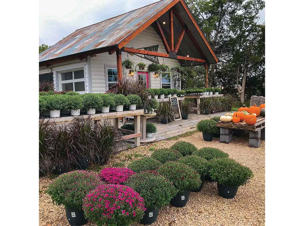 the front of the market building with many potted shrubs