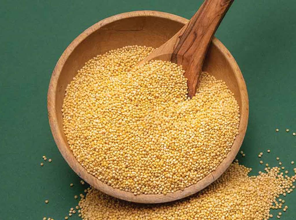 millet grain in wooden bowl with spoon