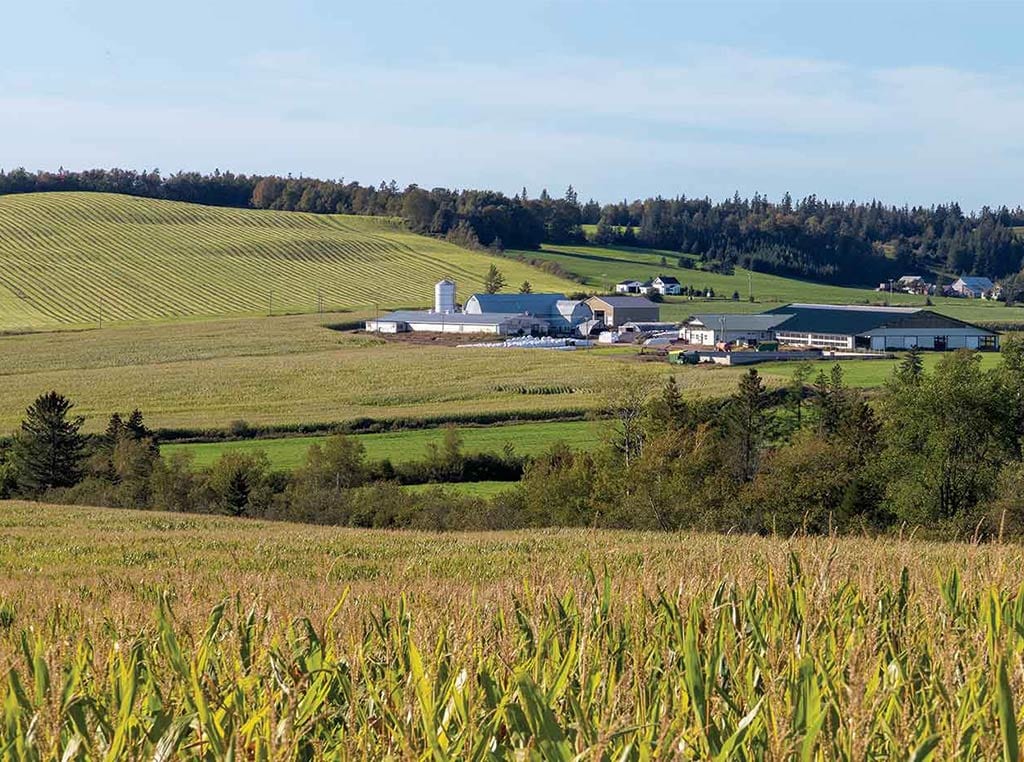 Vue panoramique d’une exploitation agricole