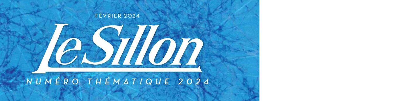 Logo Le Sillon sur fond de plan bleu clair