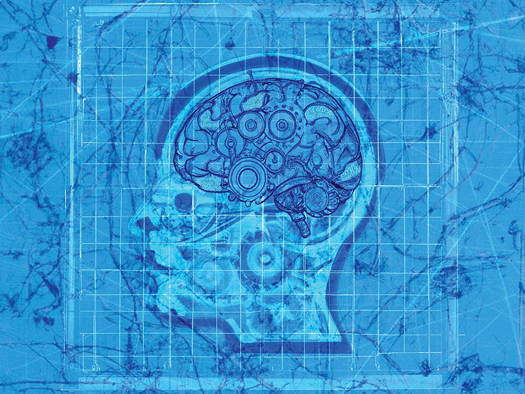 Dessin technique à l’ancienne d’une tête humaine avec un cerveau illustré
