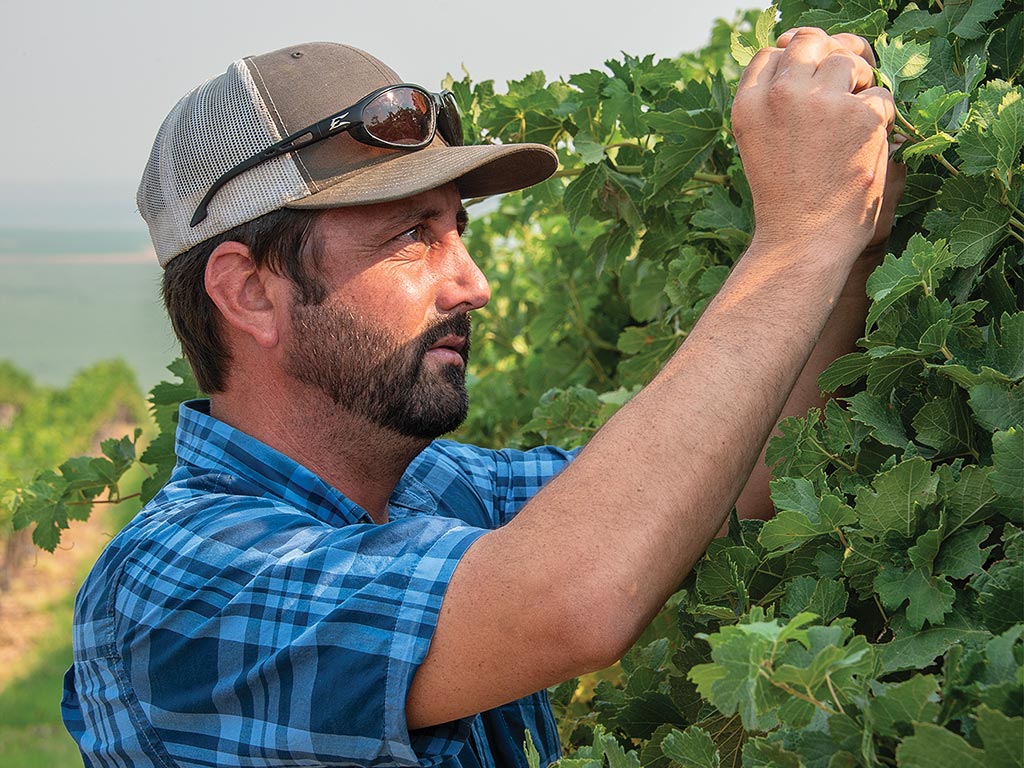 a person inspecting a branch