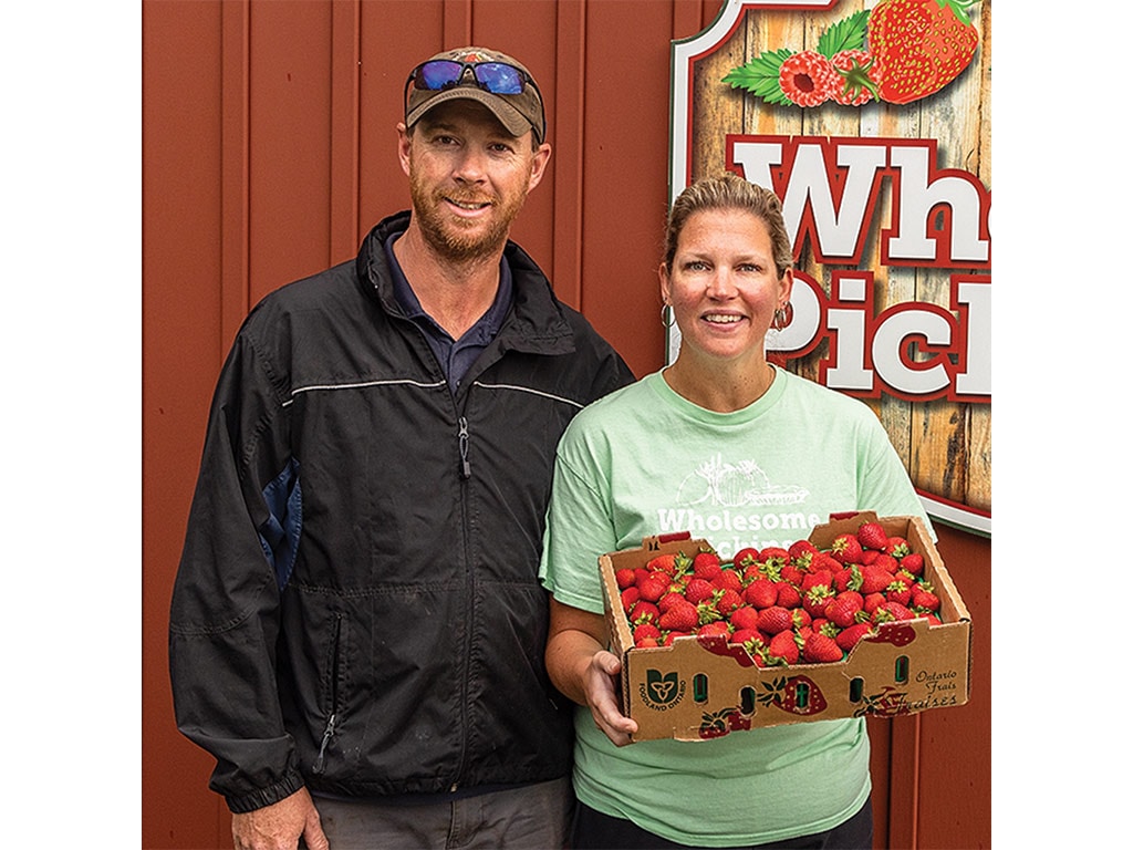 Two people with one of them holding a cardboard box of strawberries