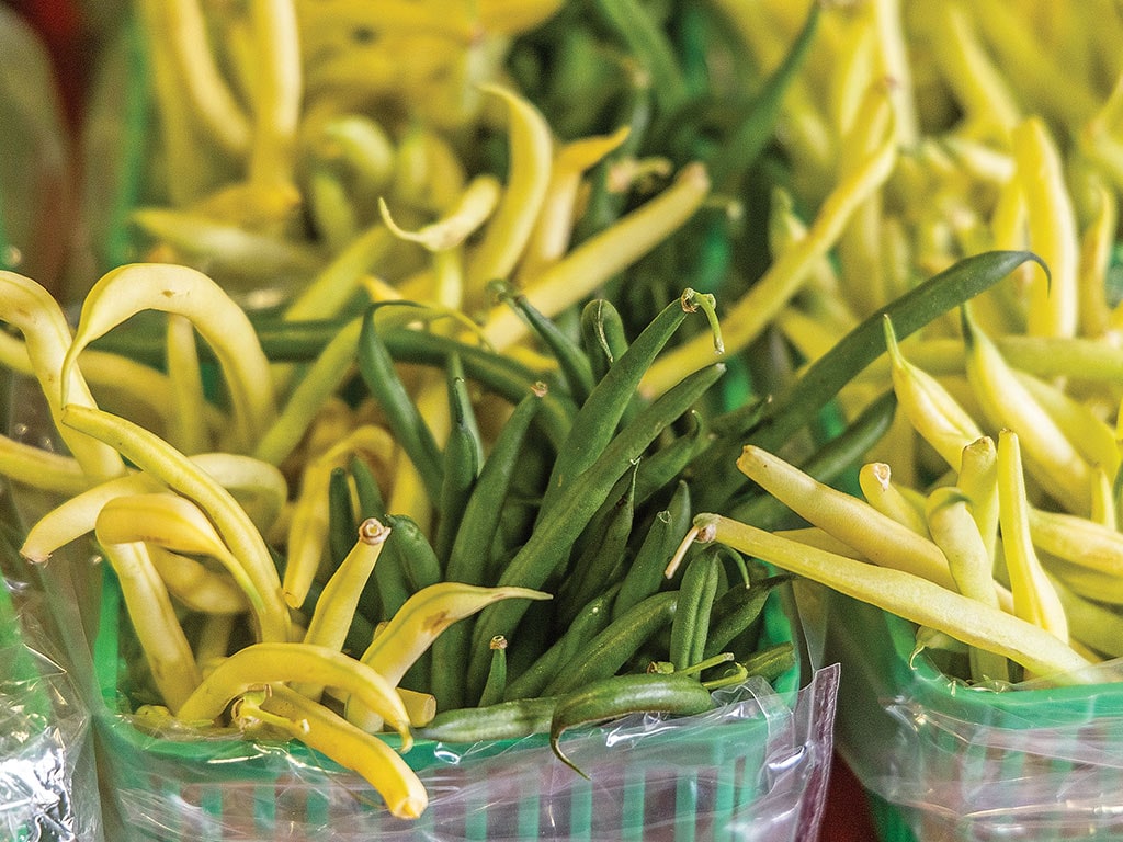 Contenants pleins de haricots verts