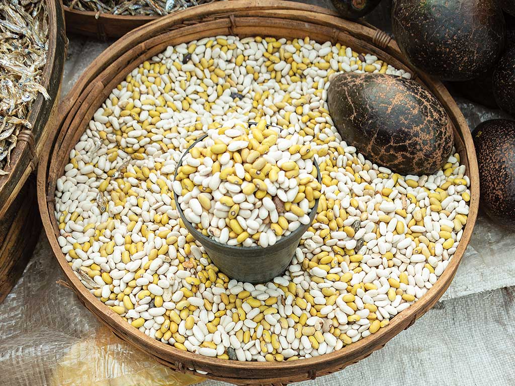 Basket of yellow and white dried beans