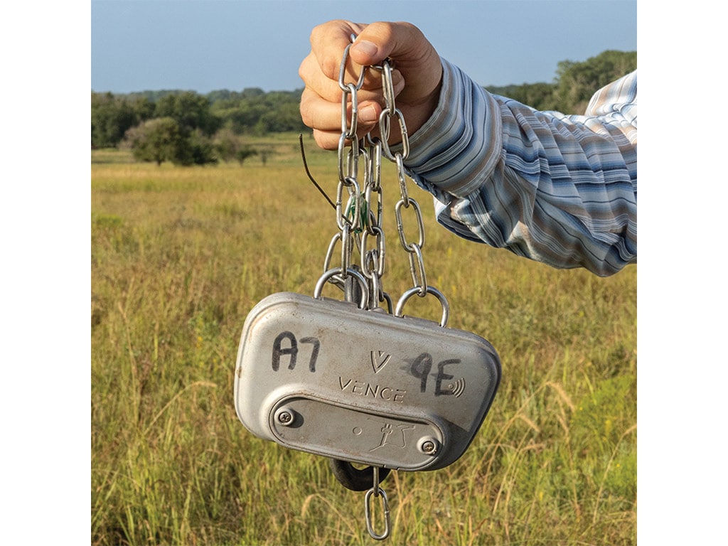 Close up of a hand holding a GPS-enabled collar