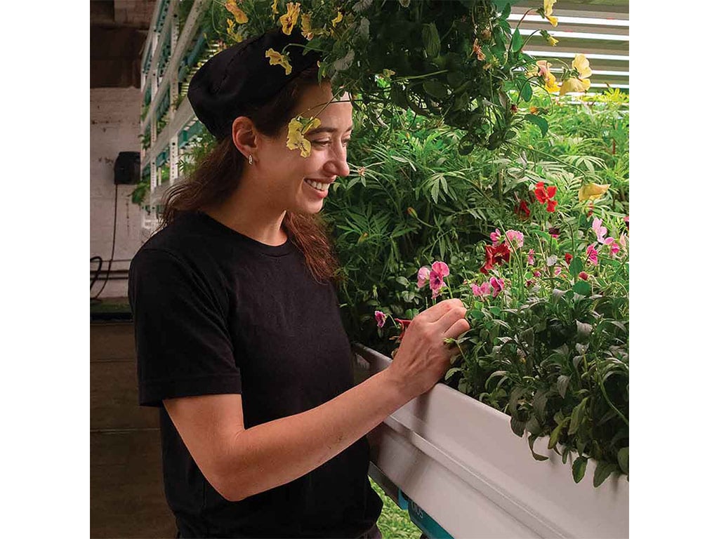 a person smiling at arow of plants growing on shelving at different heights