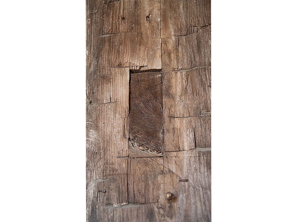 closeup of tree bark with a rectangular piece missing
