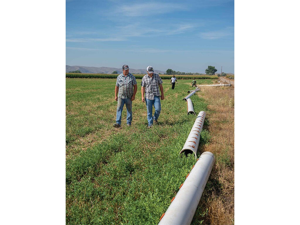 field workers walking in grass next to several lengths of grey piping