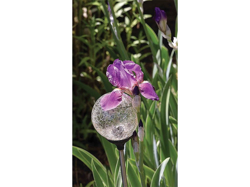 a purple orchid flower next to a glass sphere on a metal stake