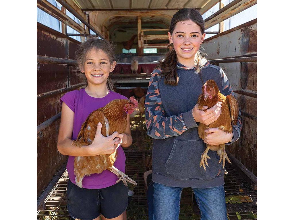 two girls holding reddish chicken in a livestock trailer