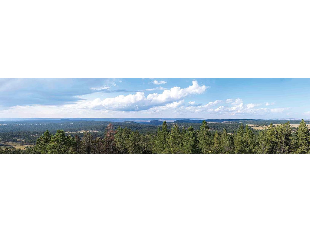 panorama of hills and trees on a sunny day