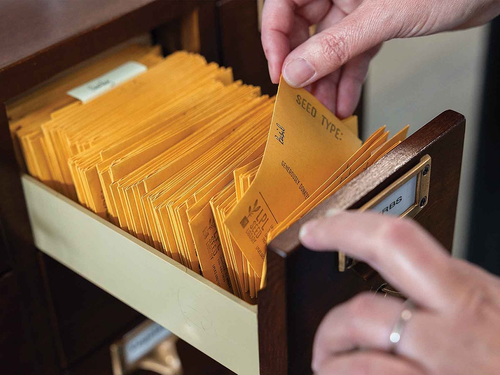 a library card drawer full of small manila envelopes of plant seeds