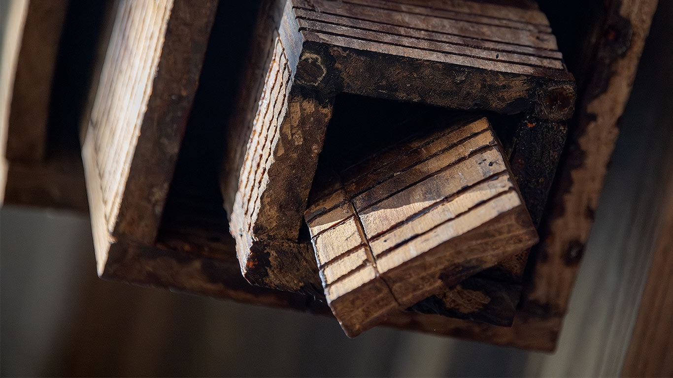 Close-up of the underside of a bat box with visible wood grain and rustic texture.