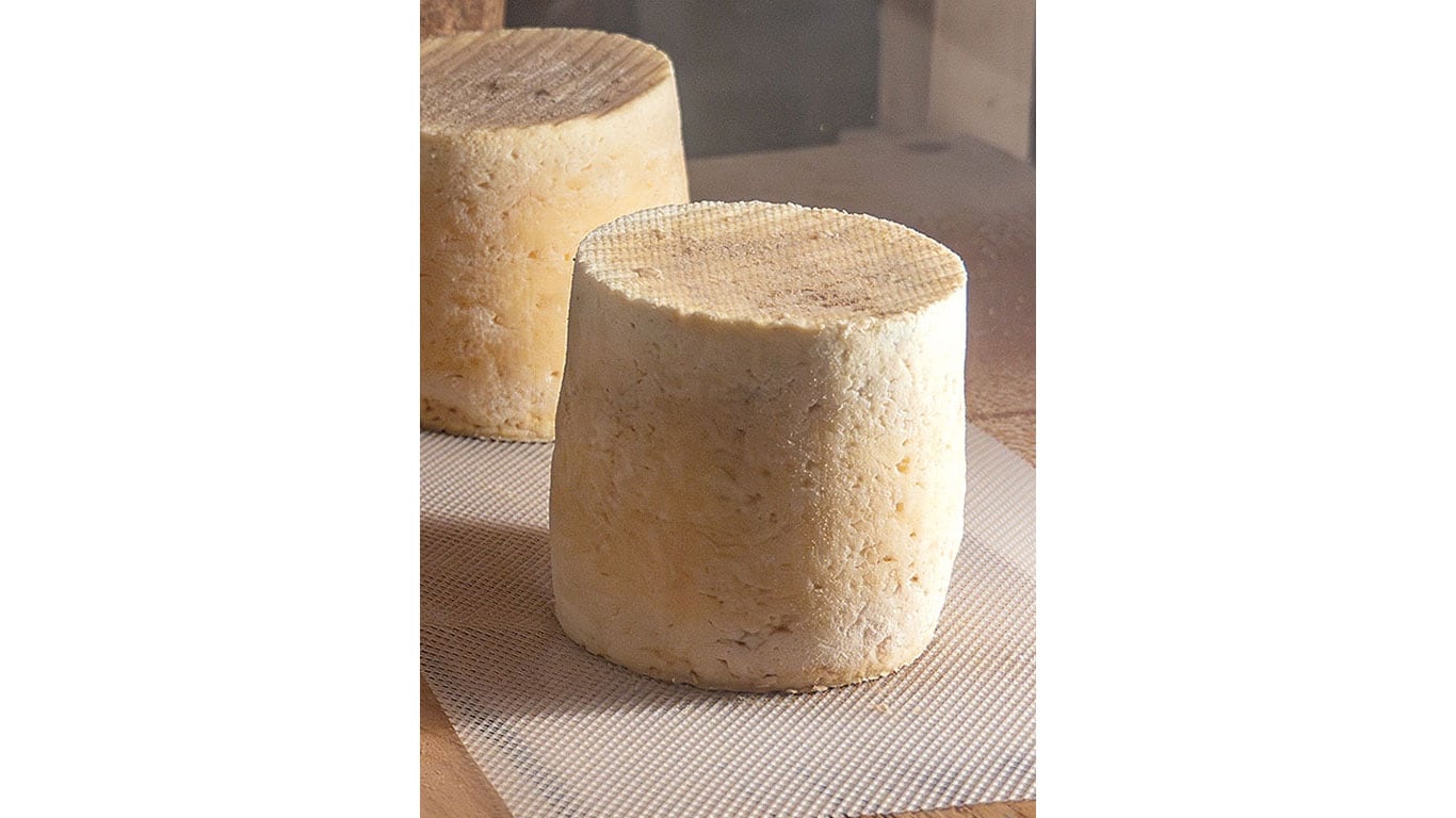 Exposition muséale présentant des outils et des artefacts liés à la fabrication du fromage, montés sur un mur de couleur claire.