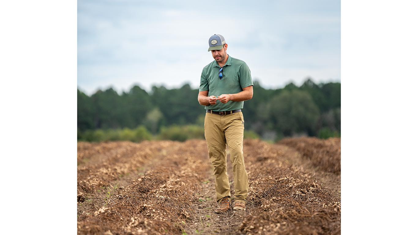Person examining plants while walking through field; trees behind