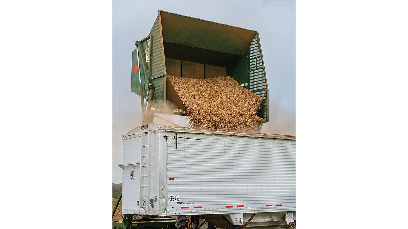 Green hopper unloading a large pile of peanuts into a white trailer during harvest.