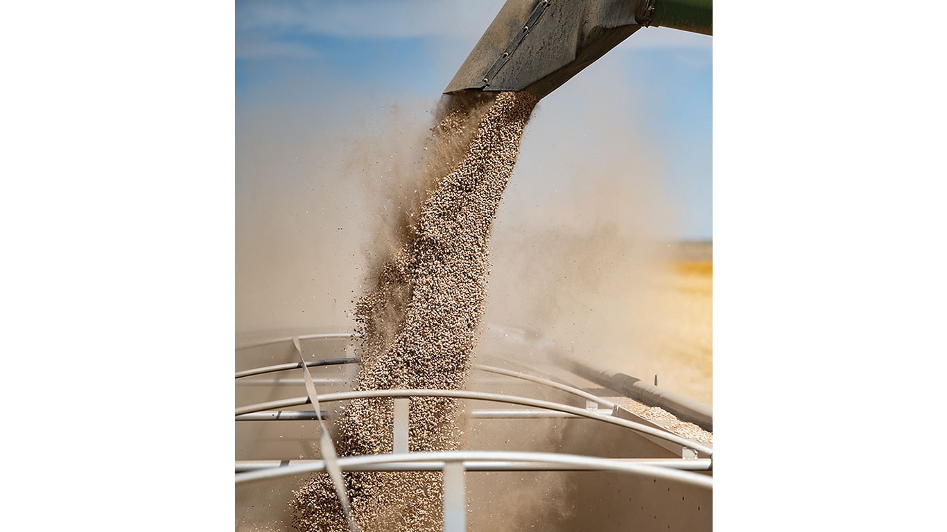 Une personne tenant un récipient transparent avec de petites plantes vertes dans un laboratoire, près d'étagères contenant des récipients similaires.