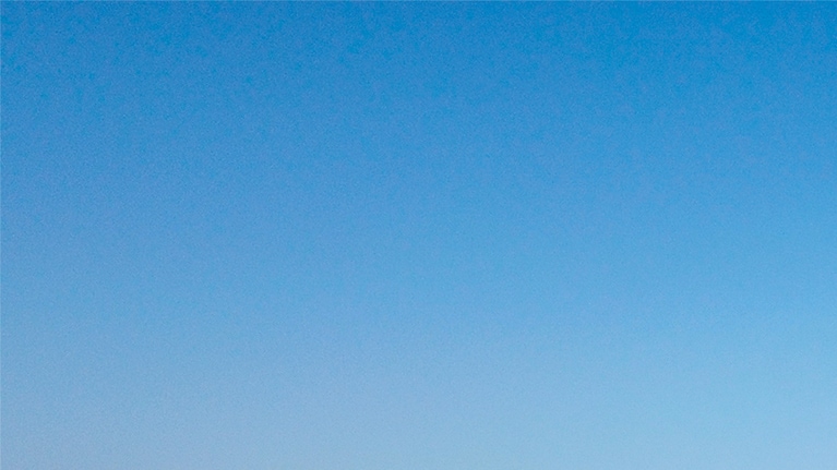 aerial view of a golden field