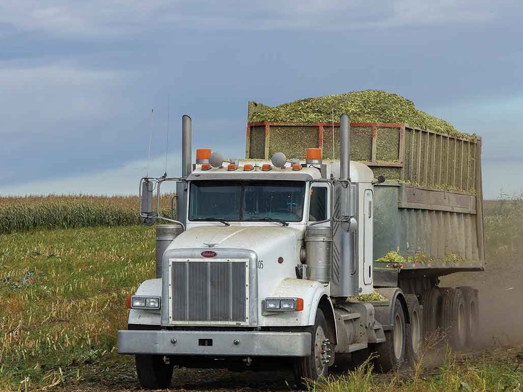 A truck hauling feed through a field
