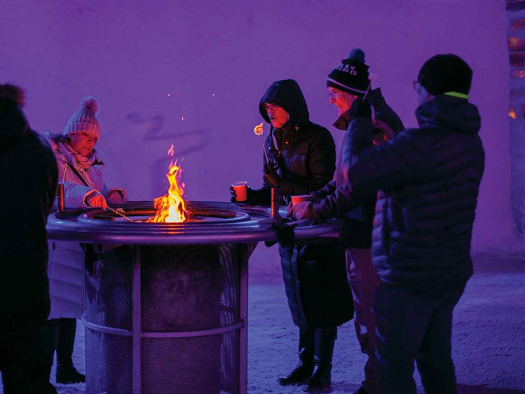 A group of people in coats grilling marshmallows around firepit