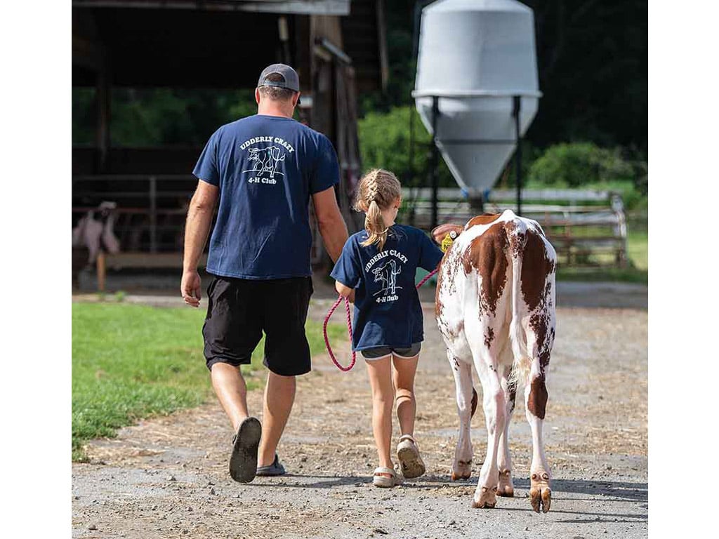 A kid and an adult leading calf in a dirt trail around grass field