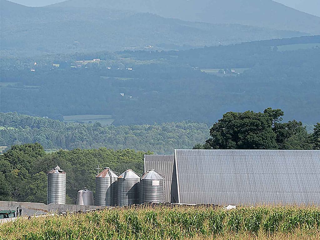 View of a farm yard within the grass field