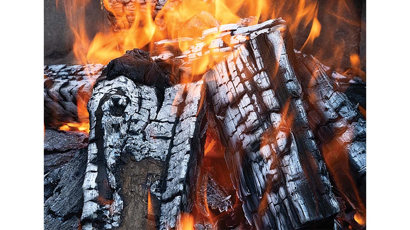 Burning logs glow with orange flames.