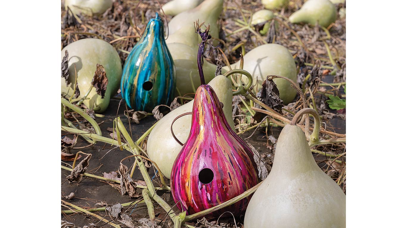 Painted gourds with birdhouse holes rest among vines.
