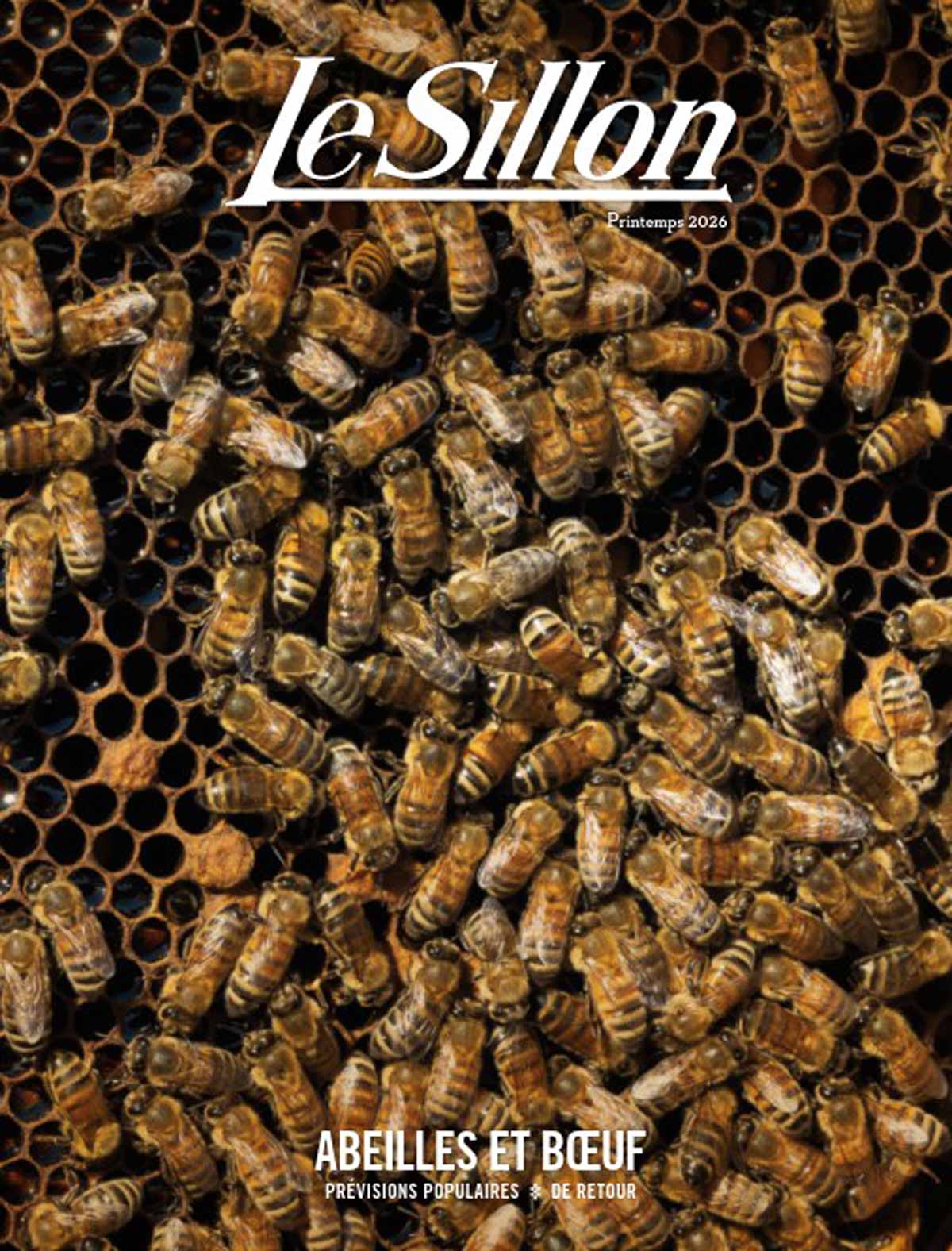 Couverture de magazine représentant des abeilles agglutinées sur un rayon de miel, intitulée « Le Sillion », avec le titre de couverture « Abeilles et bœuf ».