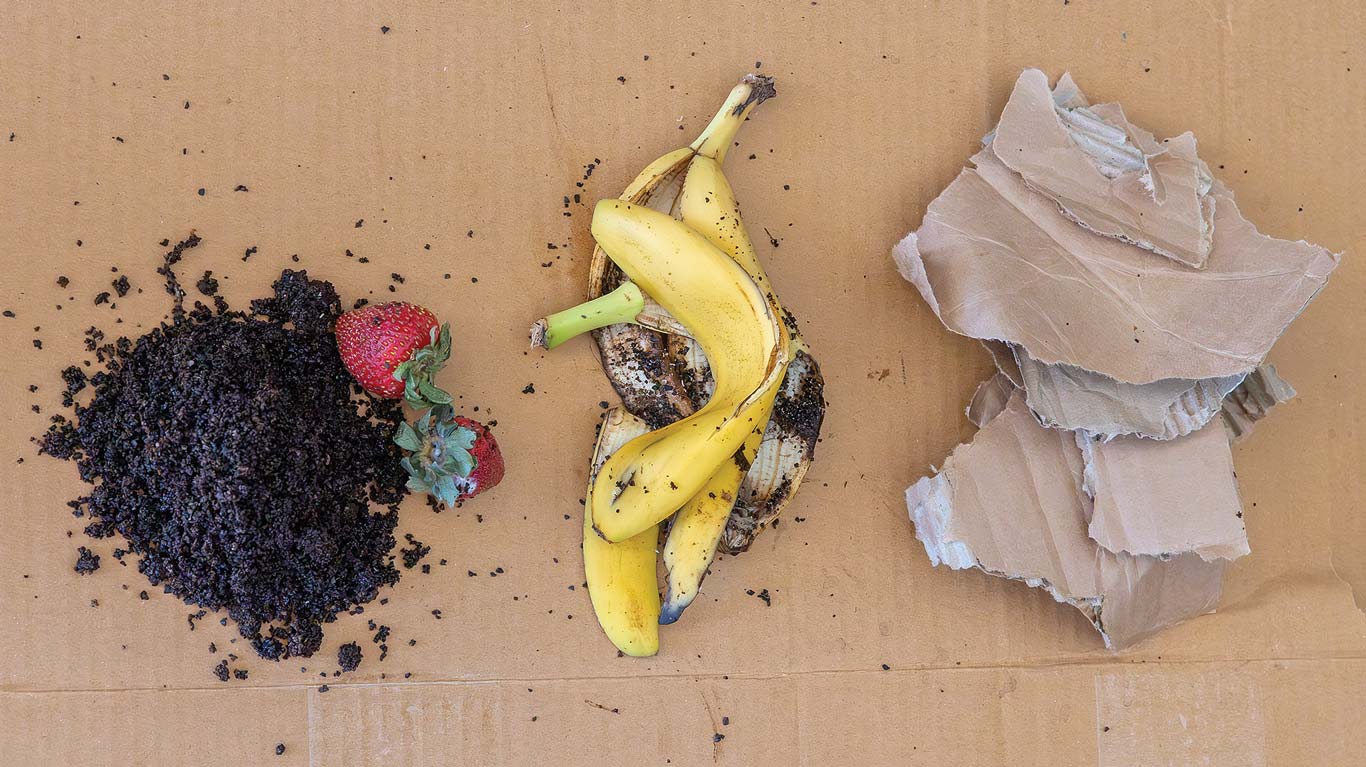 Food scraps and cardboard arranged for composting.