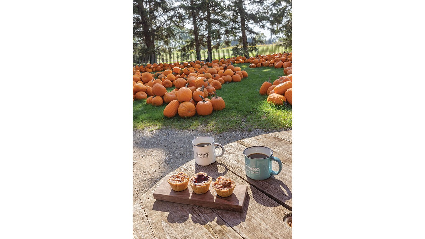 Three miniature pies and two coffee mugs on a picnic table beside a pumpkin patch.