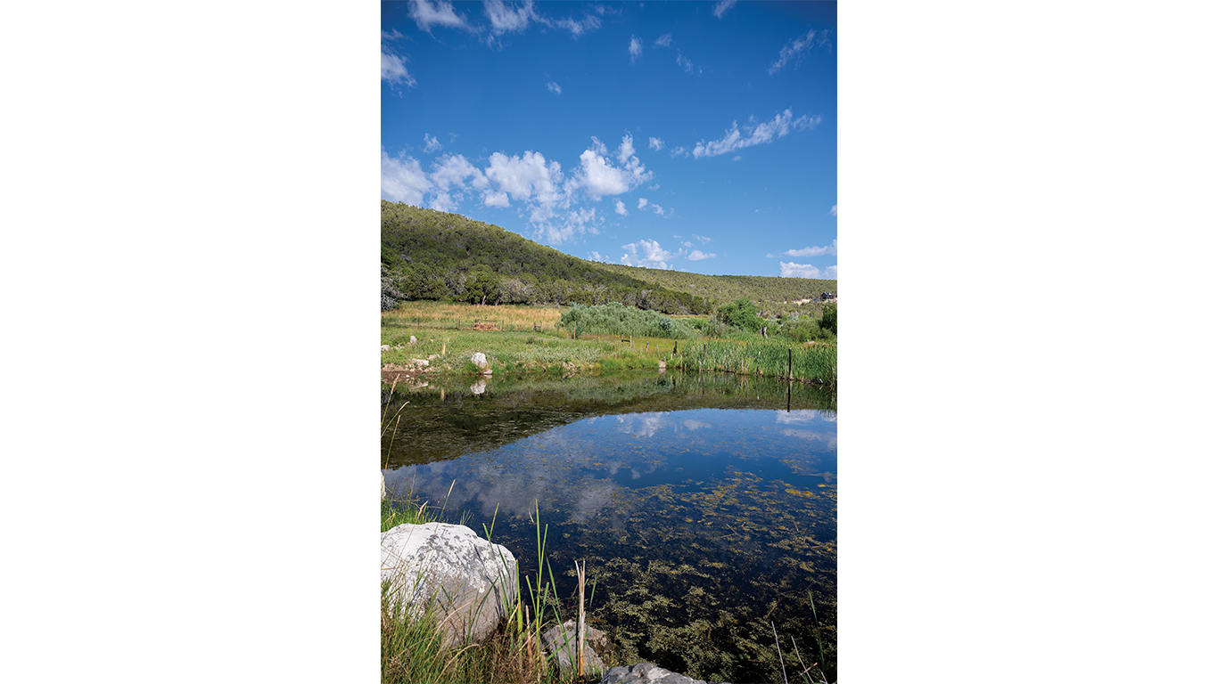 Pond of water with rock at the front and fields behind it.