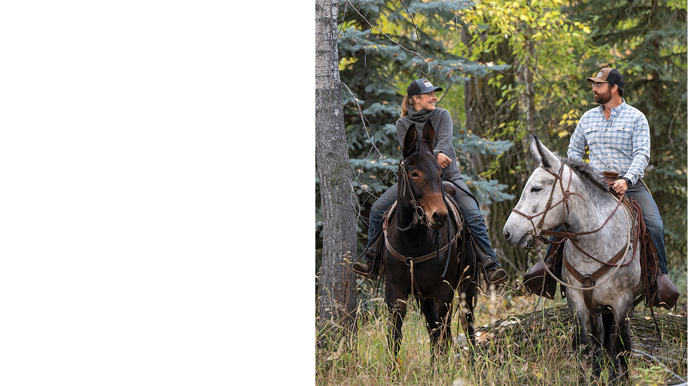 Two people on mules looking at each other while riding in a forest
