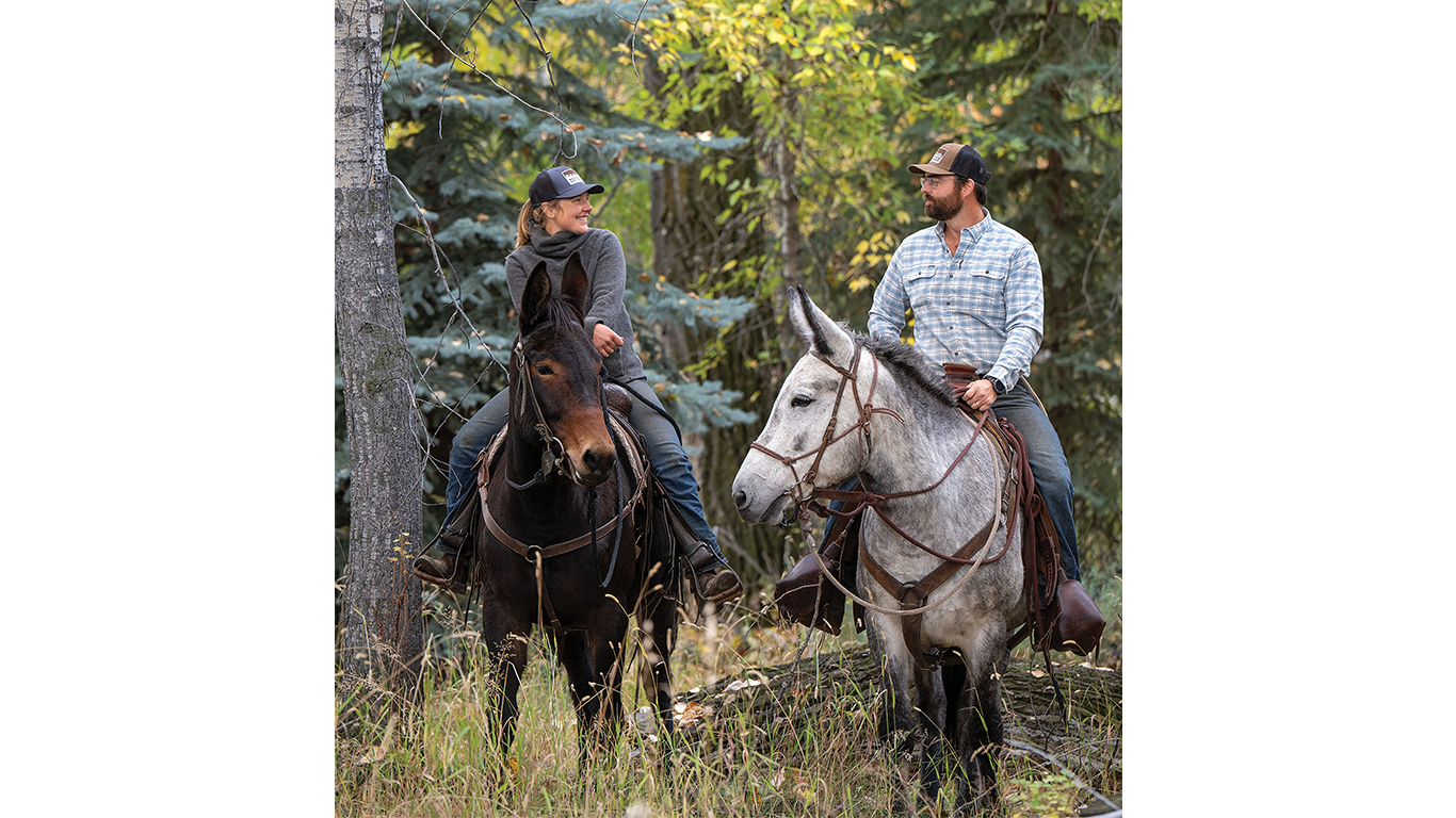 Two people on mules looking at each other while riding in a forest.