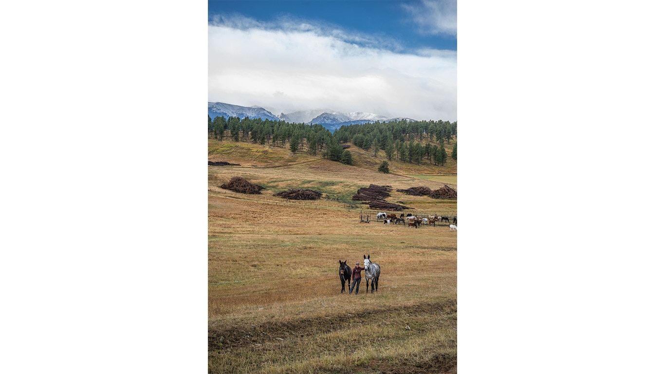 Person standing with two horses in a pasture, with forested hills and snowy mountains beyond.
