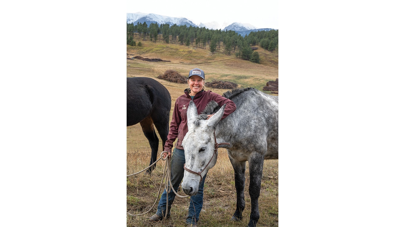 Person holding a lead rope beside a mule in a pasture with hills and snowy mountains behind.