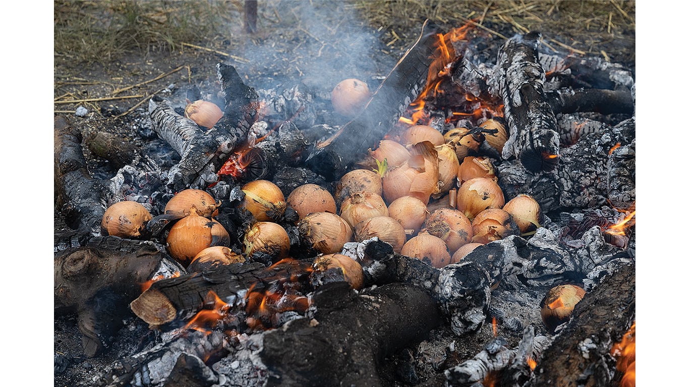 Onions roasting among glowing embers and charred logs in an outdoor fire pit.