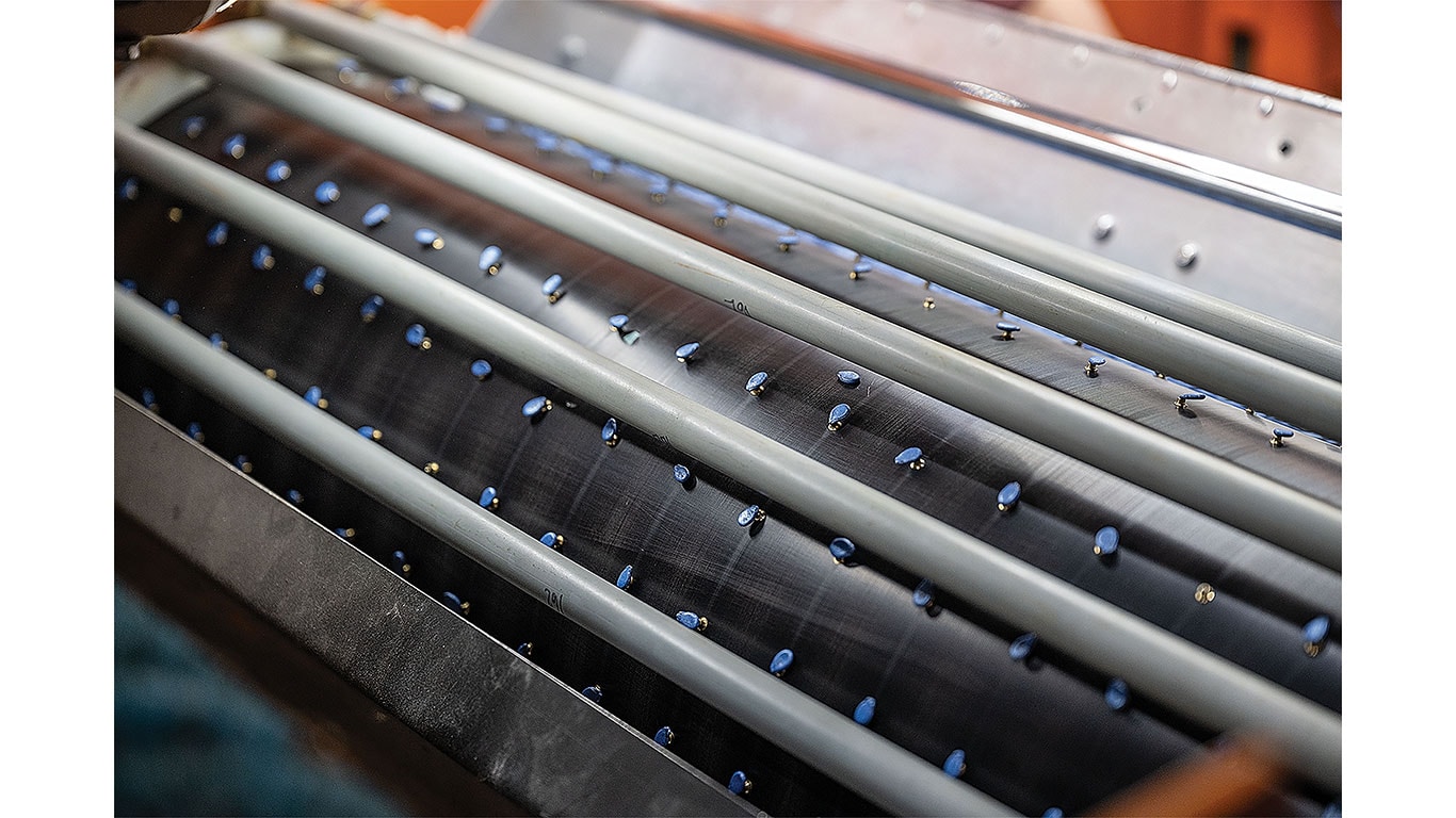 Blue-coated seeds moving along metal rollers in an agricultural seed processing system.